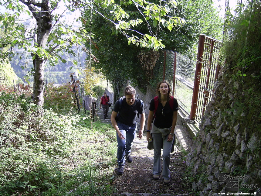 Clicca per vedere l'immagine alla massima grandezza