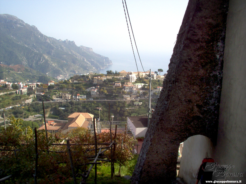 Clicca per vedere l'immagine alla massima grandezza