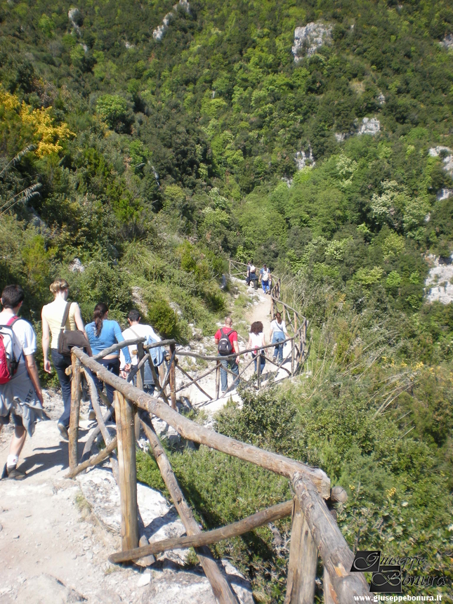 Clicca per vedere l'immagine alla massima grandezza